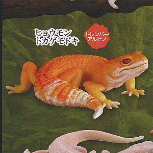 JvZQ~[WA  S GNXgJ[ Ver 1FqEgJQhL gp[Arm Cm K`| K`K` KV|