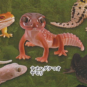 JvZQ~[WA  S GNXgJ[ Ver 2Fin_^}I Cm K`| K`K` KV|