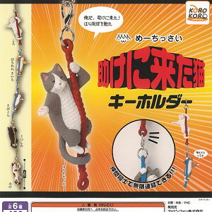 ߁[ ɗ L L[z_[ S6+fBXvC䎆Zbg ACs[tH[ K`| K`K` KV| Rv[g