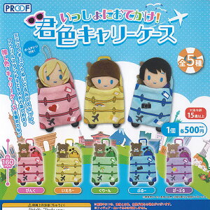 ɂł NF L[P[X S5+fBXvC䎆Zbg PROOF K`| K`K` KV| Rv[g