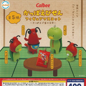 Calbee Jr[ ςт tBMA }XRbg ςщƂ̓ S5+fBXvC䎆Zbg Egj[vjO Rv[g