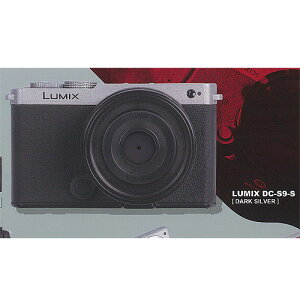 Panasonic pi\jbN LUMIX ~j`A RNV 1F~bNX DC-S9-S PGt@g K`| K`K` KV|