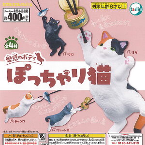 f̃{fB ۂ L S4+fBXvC䎆Zbg ^[C^[iVi K`| K`K` KV| Rv[g