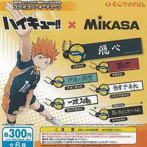 nCL[ × MIKASA fV200W ۑ R{ o[ L[`F[ S6+fBXvC䎆Zbg Rgt K`| Rv[g