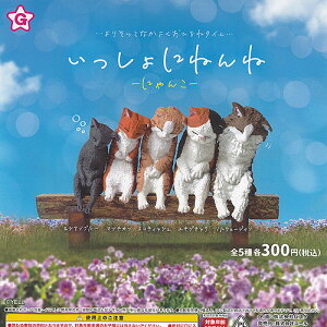 ɂ˂ ɂ S5+fBXvC䎆Zbg G[ K`| K`K` KV| Rv[g L