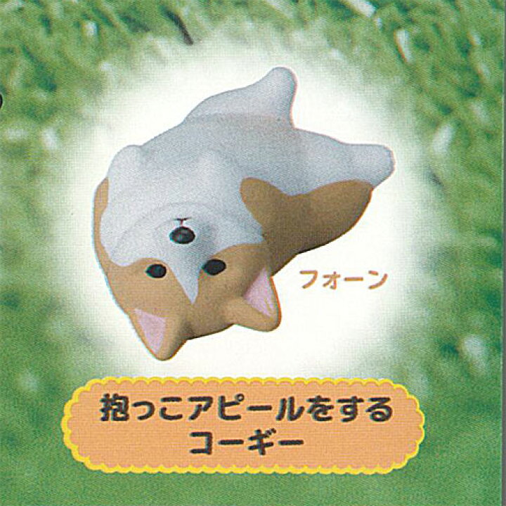 楽天市場】アニマルアトラクション こぎさんぽ 8：抱っこアピールを  