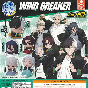 WIND BREAKER ˂ނ EBhuCJ[ S5Zbg X^hXg[Y K`| K`K` KV| Rv[g