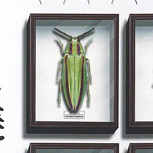 TCGXeNjJ[ hCc }Olbg RNV 4 1F}g^}V  K`| K`K` KV|