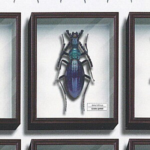 TCGXeNjJ[ hCc }Olbg RNV 4 2FIIITV  K`| K`K` KV|