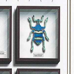 TCGXeNjJ[ hCc }Olbg RNV 4 3FV[GwzEZL]EV  K`| K`K` KV|