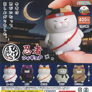 Ђ܂񂶂イ E tBMA S5+fBXvC䎆Zbg A~[Y K`| K`K` KV| Rv[g