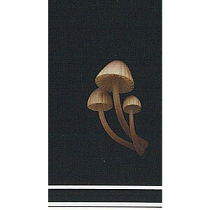 lC`[eNjJ[ MONO PLUS  LmR }Olbg 1FVCmgVr^P  K`| K`K` KV|