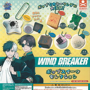 WIND BREAKER |bv XC[c ZNV S6+fBXvC䎆Zbg X^hXg[Y K`| K`K` KV| Rv[g