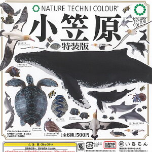 lC`[eNjJ[ }  S6+fBXvC䎆Zbg  K`| K`K` KV| Rv[g