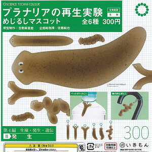 TCGXeNjJ[ viA  Đ ߂邵 }XRbg S6Zbg  K`| K`K` KV| Rv[g