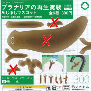 TCGXeNjJ[ viA  Đ ߂邵 }XRbg / 4Zbg  K`| K`K` KV|