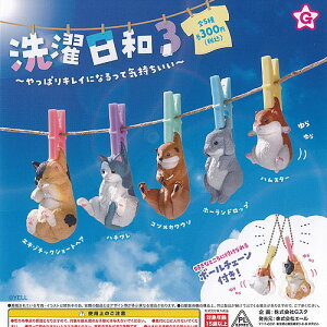 a 3 ς LCɂȂ C S5+fBXvC䎆Zbg G[ K`| K`K` KV| Rv[g