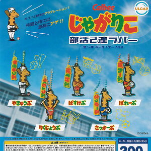 Calbee �J���r�[ ���Ⴊ�肱 ���� 2�A ���o�[ �S5��+�f�B�X�v���C�䎆�Z�b�g �E���g���j���[�v�����j���O �K�`���|�� �K�`���K�`�� �R���v���[�g