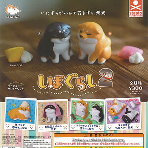 Ƃ Aj}AgNV ΂炵 2 S8+fBXvC䎆Zbg X^hXg[Y K`| K`K` KV| Rv[g