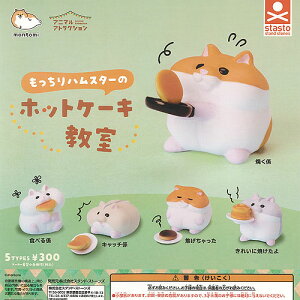 Ƃ Aj} AgNV  nX^[ zbgP[L S5Zbg X^hXg[Y K`| K`K` Rv[g