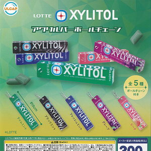 LOTTE XYLITOL be LVg[ ANo[ {[`F[ S5+fBXvC䎆Zbg Egj[vjO Rv[g