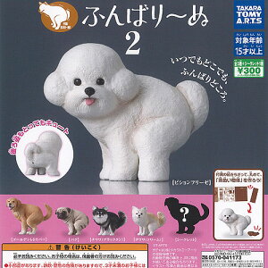 ӂ΂[ 2 V[Nbg S6Zbg ^Jg~[A[c K`| K`K` KV| Rv[g