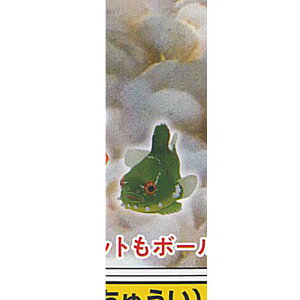 lC`[eNjJ[ MONO PLUS ׂ݂̂ }Olbg  {[`F[ 2 2F_SEI   K`| K`K` KV|