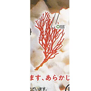 lC`[eNjJ[ MONO PLUS ׂ݂̂ }Olbg  {[`F[ 2 8FC\oi  K`| K`K` KV|