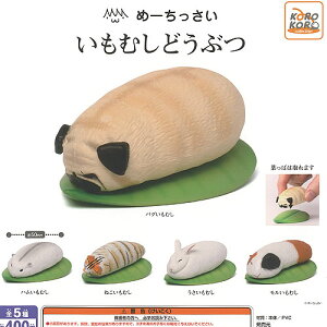 ߁[ ނ ǂԂ S5+fBXvC䎆Zbg ACs[tH[ K`| K`K` KV| Rv[g