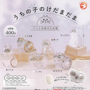 ̎q ܂ ybg̖т̓ꕨ S6Zbg uCgN K`| K`K` KV| Rv[g