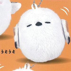 V}GiK Nオ ʂ }XRbg 3FƂ n{ܖ K`| K`K` KV|