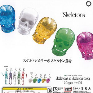 TCGXeNjJ[ XPgY C XPgJ[ S10+fBXvC䎆Zbg  K`| K`K` KV| Rv[g