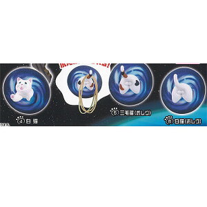 L Fɏ }Olbg tbN / 3Zbg ^[C^[iVi K`| K`K` KV|