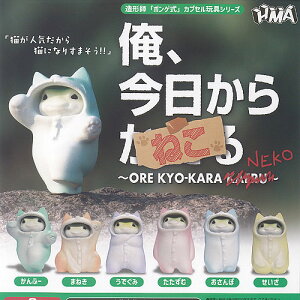 {Q JvZߋV[Y   ˂ S6Zbg HMA K`| K`K` KV| Rv[g