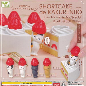 V[gP[L de  S5Zbg G[ K`| K`K` KV| Rv[g