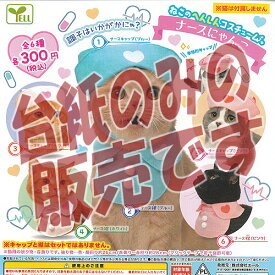 【非売品ディスプレイ台紙】ねこの へんしん コスチューム ナース にゃんこ エール ガチャポン ガチャガチャ ガシャポン