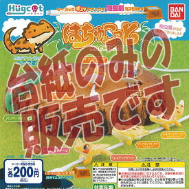 楽天市場 ハグコット はちゅこっとの通販