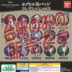 y񔄕ifBXvC䎆zfBYj[ cCXebh _[h JvZ ʃobW RNV vol.2 o_C K`| K`K` KV|