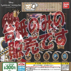 y񔄕ifBXvC䎆zfBYj[ cCXebh _[h sNEBY o_C K`| K`K` KV|