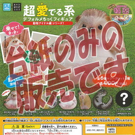 【非売品ディスプレイ台紙】超 愛でる系 デフォルメちっく フィギュア 動物アイドル編 シリーズ 1 あそび研究所365 ガチャポン ガチャガチャ ガシャポン