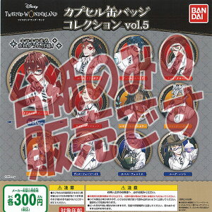 y񔄕ifBXvC䎆zfBYj[ cCXebh _[h JvZ ʃobW RNV vol.5 o_C K`| K`K` KV|