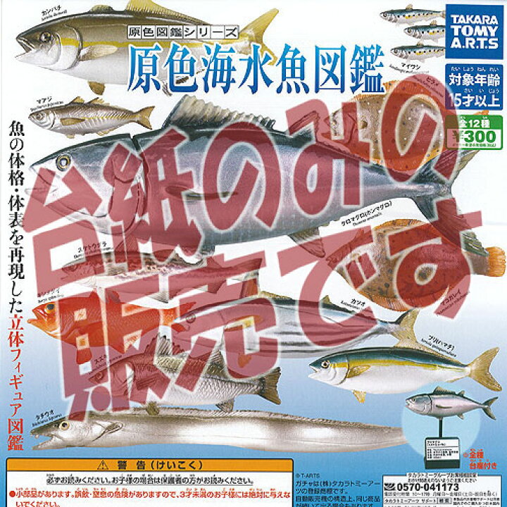 楽天市場 非売品ディスプレイ台紙 原色図鑑 シリーズ 原色海水魚図鑑 タカラトミーアーツ ガチャポン ガチャガチャ ガシャポン 遊you 楽天市場店 楽天市場 非売品ディスプレイ台紙 原色図鑑 シリーズ 原色海水魚図鑑 タカラトミーアーツ ガチャポン ガチャガチャ ガシャポン 遊you 楽天市場店