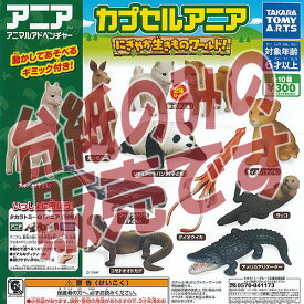 楽天市場 アニア ガチャの通販
