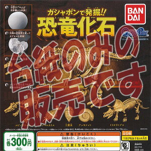 y񔄕ifBXvC䎆zKV|Ŕ@  o_C K`| K`K` KV|