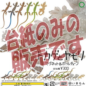 y񔄕ifBXvC䎆zlC`[eNjJ[ MONO PLUS gJQ  }Olbg  {[`F[  K`| K`K` KV|