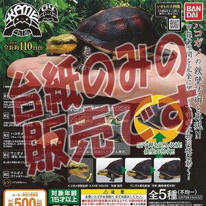 y񔄕ifBXvC䎆z̑}  KAME 04 o_C K`| K`K` KV|