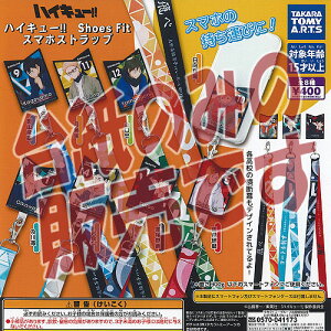 y񔄕ifBXvC䎆znCL[ Shoes Fit X}z Xgbv ^Jg~[A[c K`| K`K` KV|