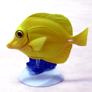 LCnM FC}I@`RGbOntBMA [WiYujinjK`|KV|JvZRNV