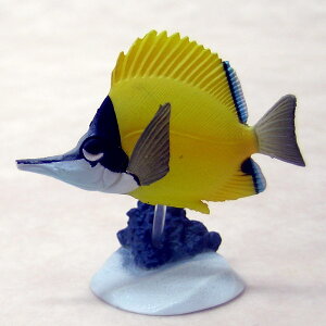 tGbR_C FC}I@`RGbOntBMA [WiYujinjK`|KV|JvZRNV