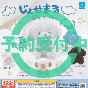 傹܂ ʂ S5Zbg 1ēח\ Qualia K`| K`K` KV| Rv[g